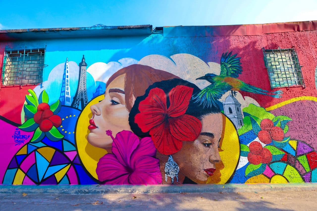 Urban Art Tour in Colonia Santa Lucía